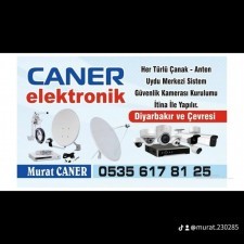 Televizyon ustası